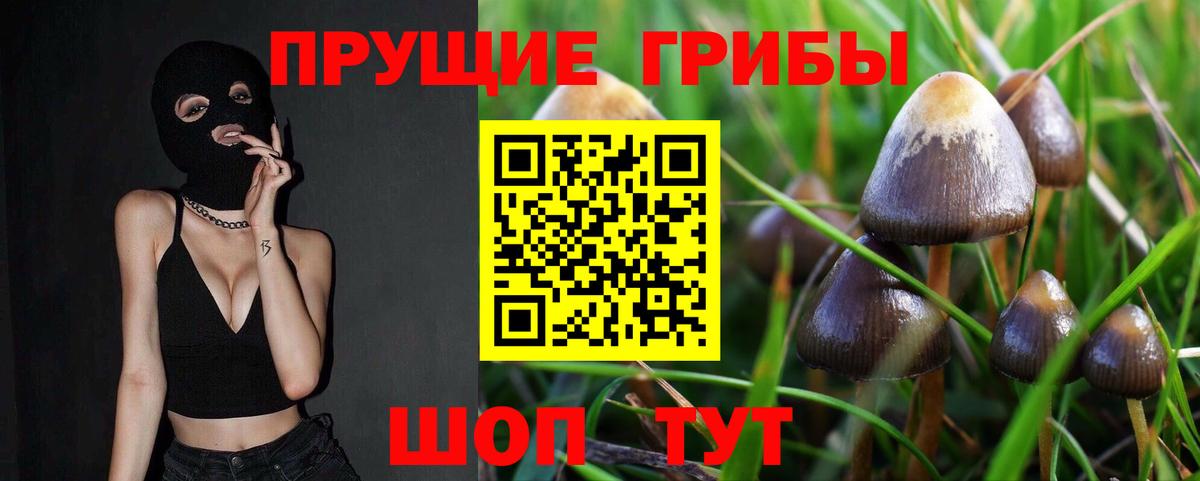 купить закладку  Вход с VPN  Чусовой  Галлюциногенные грибы Cubensis 